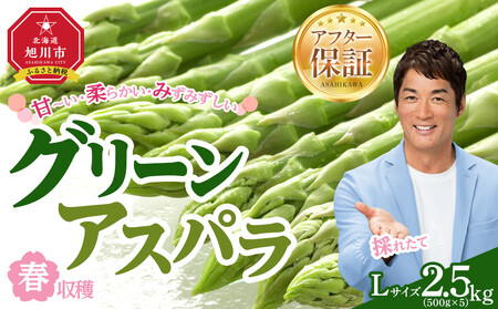 【先行予約】春収穫グリーンアスパラLサイズ（500g×5）約2.5kg（2026年6月上旬から発送開始）| アスパラ 北海道_05532