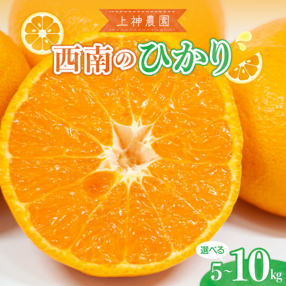 【ふるさと納税】先行予約 上神農園 の 西南のひかり 選べる 約 5kg / 約 10kg 【 2026年 12月上旬～発送】 人気 高糖度 みかん 蜜柑 柑橘 果物 フルーツ お取り寄せ 甘い 糖度 果汁 ハイブリット 新品種 温州みかん 国産 期間限定 数量限定 産地直送 送料無料 広島県 呉市