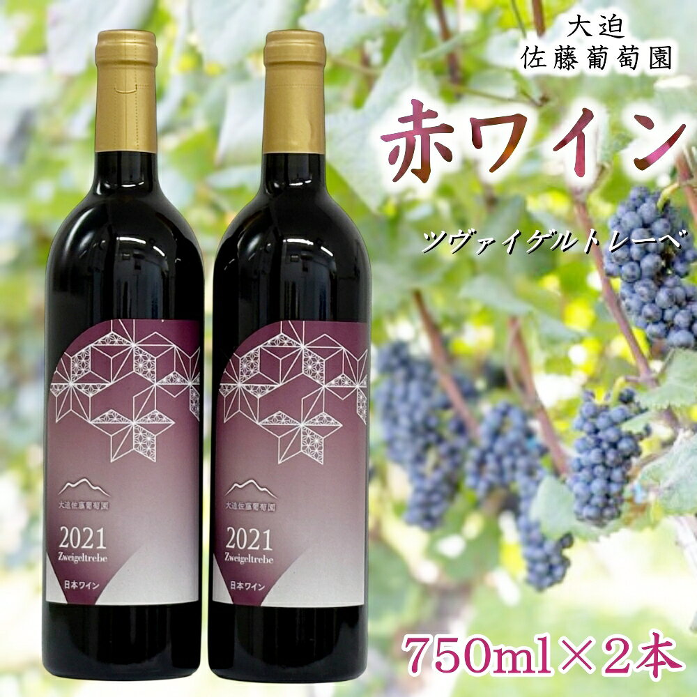 【ふるさと納税】大迫佐藤葡萄園 ツヴァイゲルトレーベ 750ml×2本セット ふるさと納税 ワイン