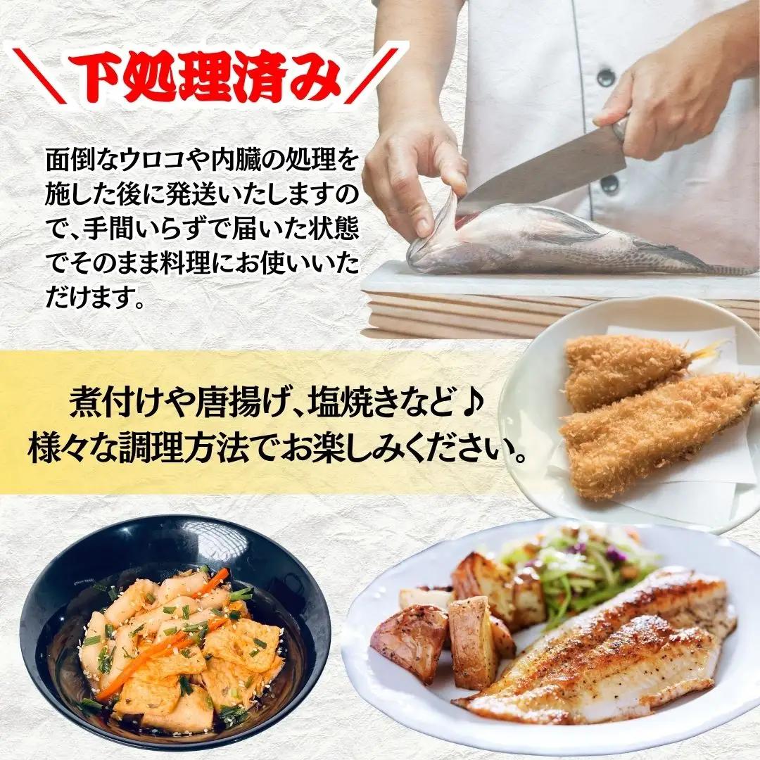 【下処理済み】 旬の鮮魚 詰め合わせ 2kg以上  (3～5種)  安宅漁港 石川県 小松市