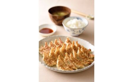 8番餃子セット20人前 惣菜 中華 冷凍 冷凍餃子 点心 夕飯 晩御飯 お昼ご飯 おかず つまみ 新鮮食材 お店の味 食べ物 食品 生餃子 冷凍生餃子 ギョーザ 