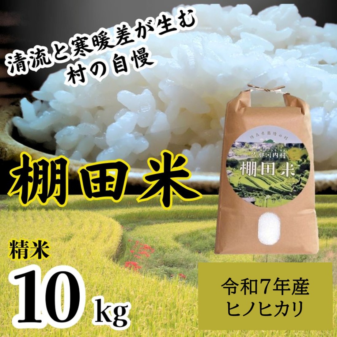【CF】”清流と寒暖差が生む“村自慢の「棚田米」10kg 《10月上旬-10月末頃発送》 ※袋パッケージが変更になる可能性がございます　［佐那河内 さなごうち 徳島 新米 ひのひかり ヒノヒカリ 10キロ 弁当 令和7年 棚田 精米 お米 2025年 白米 ごはん］---sanagouchi_lcl_16_10kg---