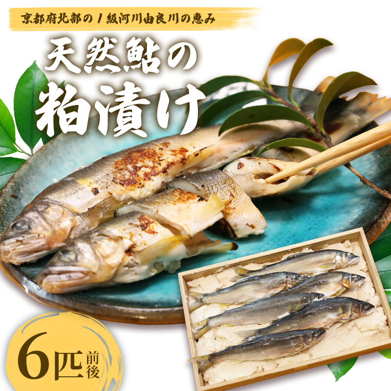 天然鮎の粕漬け 6匹 【 由良川漁協 あゆ 鮎 アユ 魚 魚介 川魚 海鮮 漬け魚 粕漬け 酒粕 天然 大人 贅沢 おつまみ 酒の肴 珍味 舞鶴 京都 】