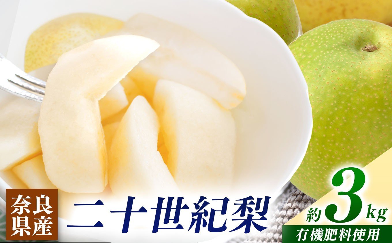 
            梨子本農園 の 梨 （ 二十世紀 ）約 3kg  | フルーツ 果物 くだもの 梨 なし ナシ 奈良県 五條市 家庭用 自宅用 産地直送 農家直送 国産 人気 送料無料 甘い 酸味 ベスト グルメ お取り寄せ  10月 9月 順次発送 秋 旬 味覚 有機肥料 こだわり 安全 多汁 ジューシー シャリシャリ シャキシャキ みずみずしい 果肉 果実 おすすめ
          