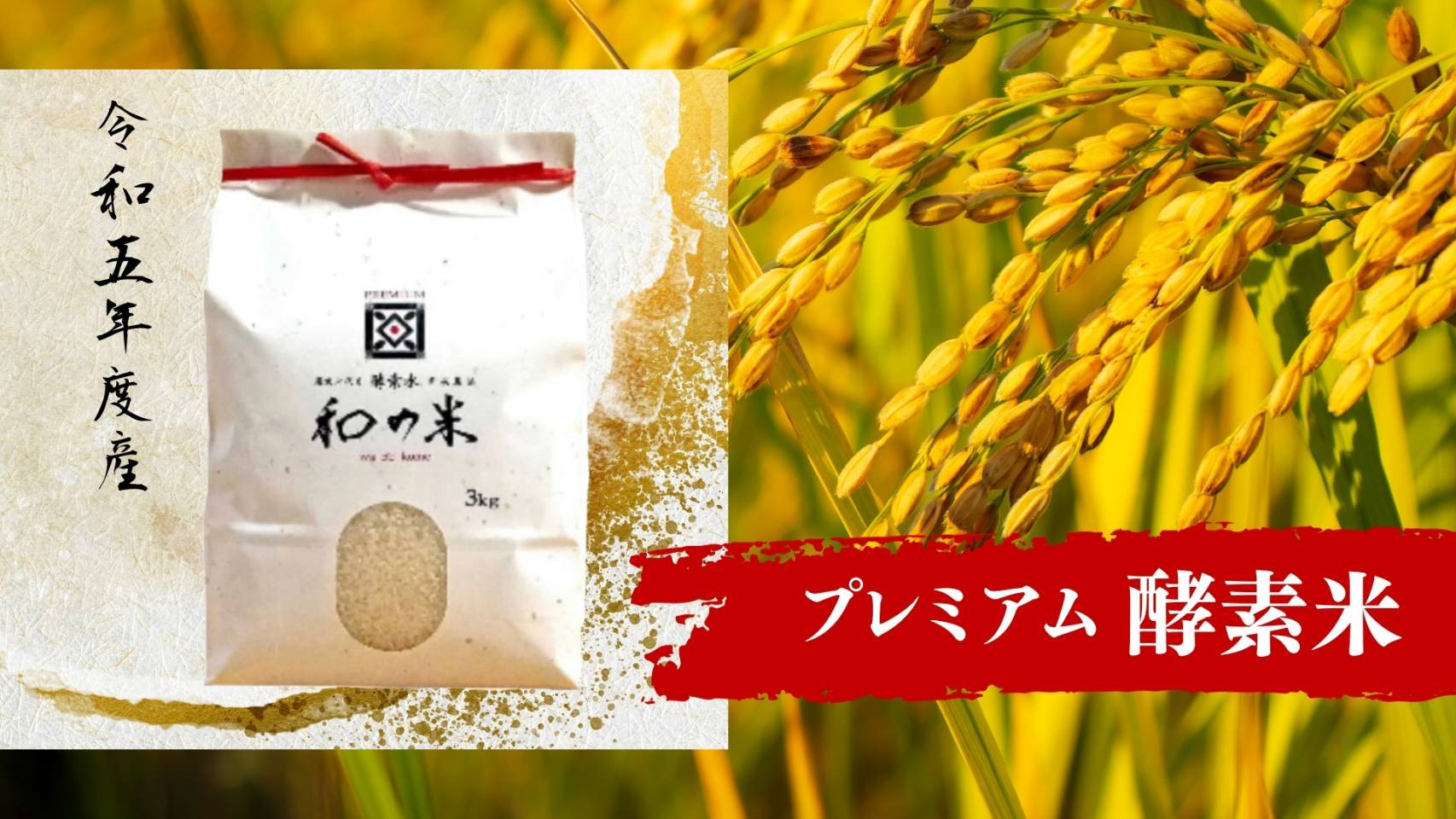 
＼令和5年産／和の米　「酵素米」　プレミアム　精米3kg
