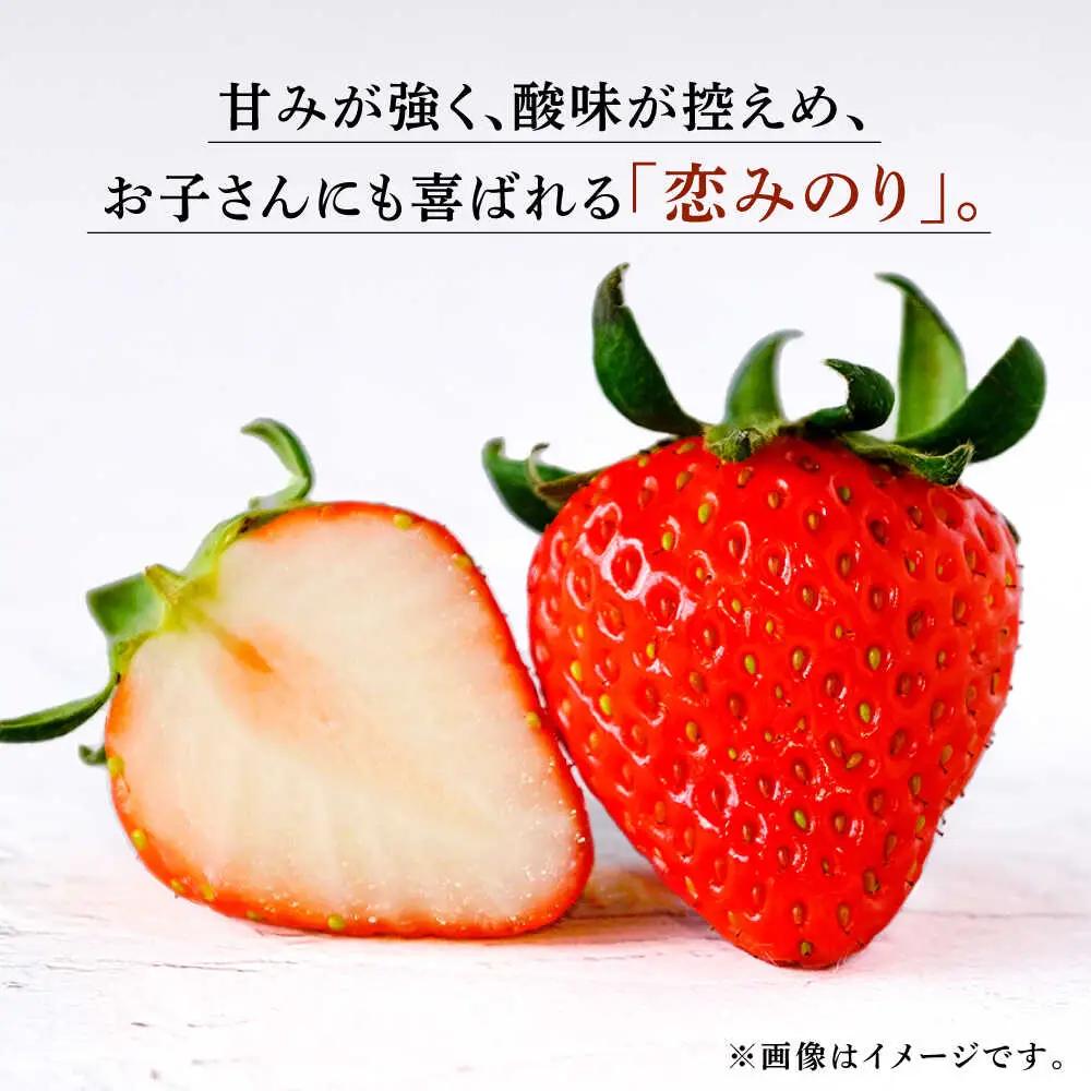 【12回定期便】高級 冷凍  いちご 加工用 約1kg（約500g×2袋）【伊藤農園】 果物 フルーツ イチゴ いちご 苺 熊本県 特産品 オーガニック 有機 恋みのり 冷凍 [ZBB017]