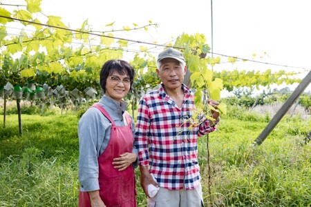 【2025年配送分】甲府市産自然塾の桃2kg