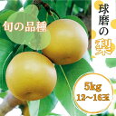 【ふるさと納税】熊本県JAくま産 球磨の梨 5kg(12玉～16玉　旬な品種)　 お届け時期：2024年8月上旬〜10月上旬