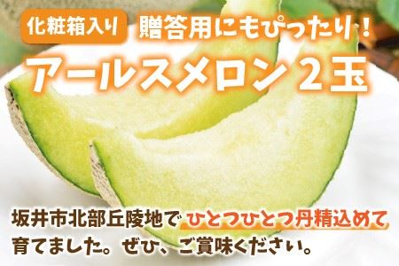 【先行予約】これぞメロンの王様！ 「アールスメロン」 2玉 【2024年9月上旬以降順次発送予定】 [A-1002]