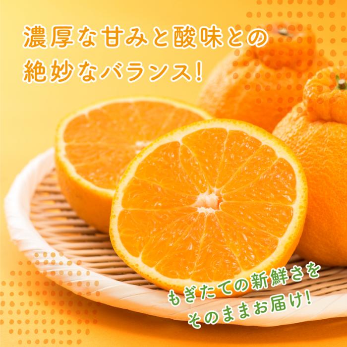 【先行受付】＜訳あり＞瀬戸内 島の不知火 約5kg 白鷺農園《2026年2月下旬～4月上旬頃出荷》 デコポン と同品種  旬 柑橘 フルーツ 果物 しらぬい デコポン わけあり 規格外 不知火 164