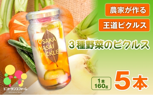 ＜農家が作る 王道ピクルス！＞3種野菜のピクルス(5本) 【m104-05-C】【エントランスファーム】