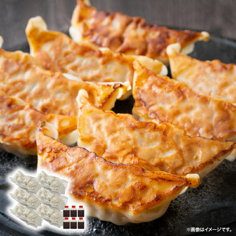 【ふるさと納税】【のし対応可】 鹿児島県産　黒豚生餃子（20g×9個×6袋）タレ300ml［50ml×6個］純粋六白黒豚を使用した餃子 焼きギョウザにも蒸し・茹でぎょうざにも！のし対応 ギフト お中元 お歳暮 贈答用 プレゼント【中国料理 孫悟空】