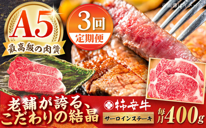 
            【3回定期便】最高級A5等級 三重県産 黒毛和牛 柿安牛 サーロインステーキ 400g / 国産牛 ブランド牛 牛肉 冷蔵 / 亀山市 / 柿安本店 [AMBW021]
          