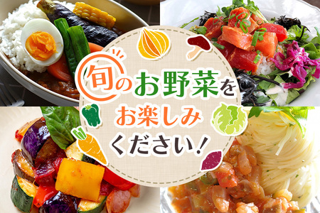 新鮮 奥久慈産 旬の野菜詰め合わせ 季節 セット 【野菜】【ho0871】