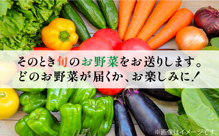 【6回定期便】地元の農家さんが収穫した旬のお野菜 詰め合わせセット 地元の農家さんが収穫した旬のお野菜 詰め合わせセット 野菜定期便 野菜詰め合わせ  / 南島原市 /  ミナサポ[SCW046]