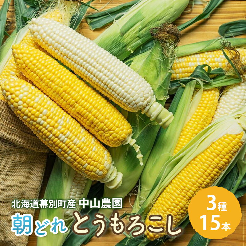 【ふるさと納税】北海道 幕別町産 中山農園 朝どれ とうもろこし 3種 15本 [ 北海道産 スイートコーン 野菜 十勝 幕別 新鮮 テレビで紹介 ] 　お届け：2026年8月中旬～9月中旬まで
