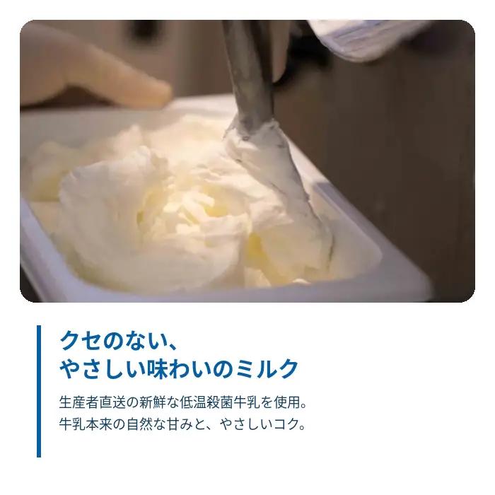 低温殺菌牛乳使用 秩父の手づくりジェラート 12個（季節のおすすめ入り）／ジェラテリアHANA アイス スイーツ 冷凍 埼玉県 No.642-2