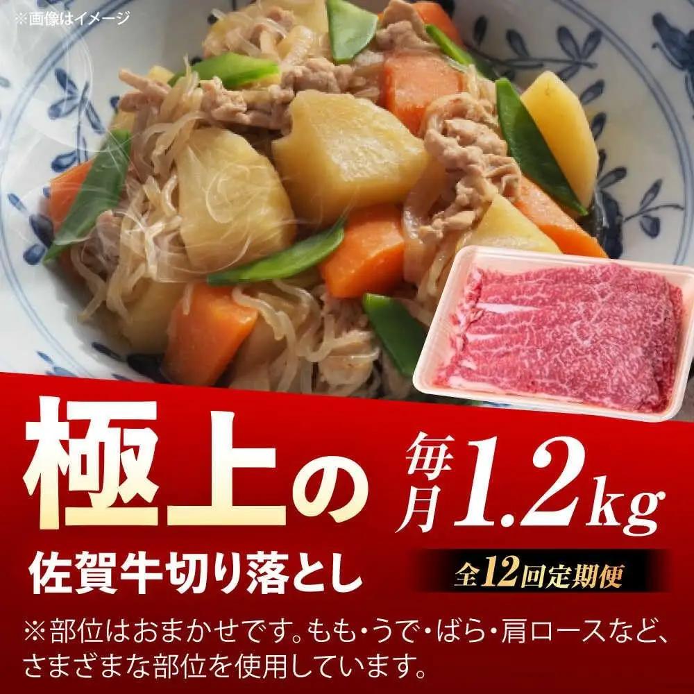 【12回定期便】 佐賀牛 牛肉 切り落とし 1.2kg 切落し [UEM037]