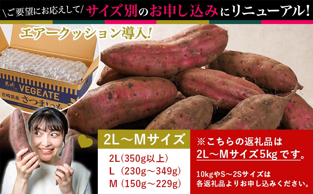 先行受付!【11月お届け】島津甘藷　熟成紅はるか 5kg(2L～M)_LD-A701-11