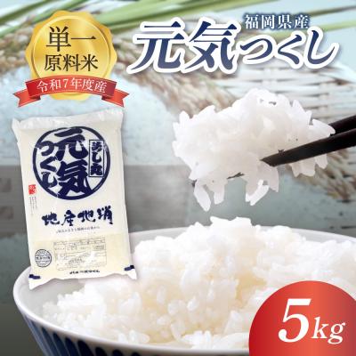 ふるさと納税 宗像市 元気つくし5kg【ほたるの里】_HA1788