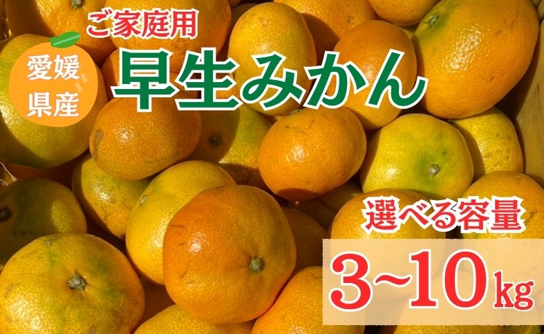 
                  みかん 早生みかん ご家庭用 【選べる容量】 3kg 10kg 農園直送 先行予約 【11月以降順次発送予定】 愛媛 数量限定 愛媛県産 ゆうやけファーム 人気 柑橘 伊予市
                