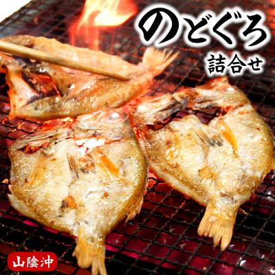 ふるさと納税 新温泉町 のどぐろ生冷凍と干物の詰合せ　兵庫県新温泉町　