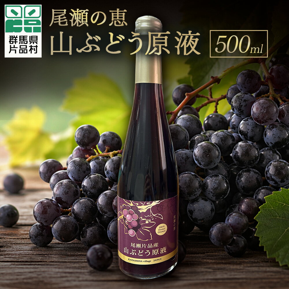 【ふるさと納税】 尾瀬の恵 山ぶどう原液 500ml 山ぶどう 尾瀬 片品村産