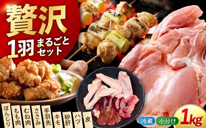
            鶏肉 広島県産 一黒シャモ 1羽まるごとセット（約1kg）江田島市／ポーク＆チキン江田島[XAH003]｜鶏肉 精肉 とり肉 国産 地鶏 高級地鶏 一黒シャモ チキン 丸鶏 一羽分 内臓付き もも むね モモ ムネ もも肉 むね肉 手羽 手羽元 手羽先 ささみ 砂肝 ハツ 皮 ぼんじり 希少部位 冷蔵 新鮮 産地直送 焼き鳥 唐揚げ チキンステーキ 鍋 BBQ お取り寄せ グルメ 人気 高品質
          