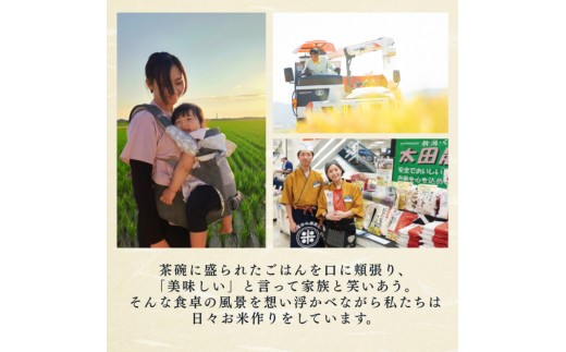 令和8年産 新潟県上越産 特別栽培米 コシヒカリ 20kg 20キロ（5kg×4） 【無洗米】 従来品種 こしひかり 新米 おおた農場 上越市