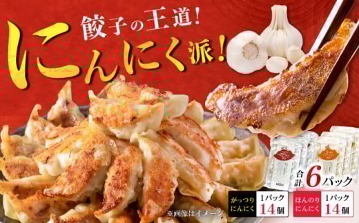 【王道！にんにく派×3パック】餃子2種セット！【餃子屋ヒロ】開成町 餃子 点心 惣菜 冷凍 [BDAS008-5]