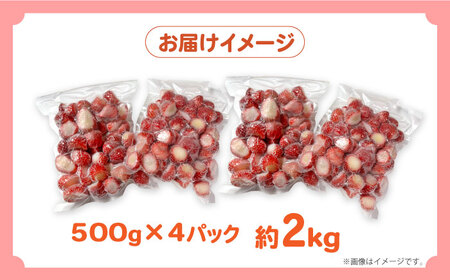 【2026年3月-発送】【訳あり】【数量限定】冷凍 カットいちご「恋みのり」 加工用 約500g×4P / 冷凍 いちご イチゴ 苺 フルーツ 冷凍フルーツ ジャム / 南島原市 / あゆみfarm 