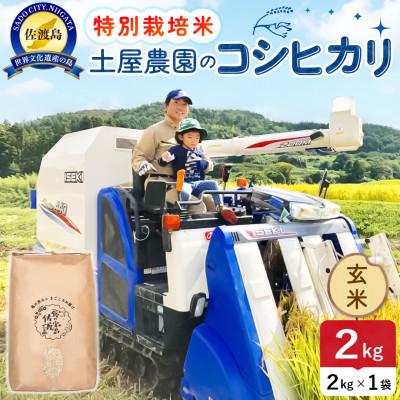 ふるさと納税 佐渡市 【新米予約】令和8年産 佐渡島産コシヒカリ 玄米2kg 土屋農園 農家直送 特別栽培米
