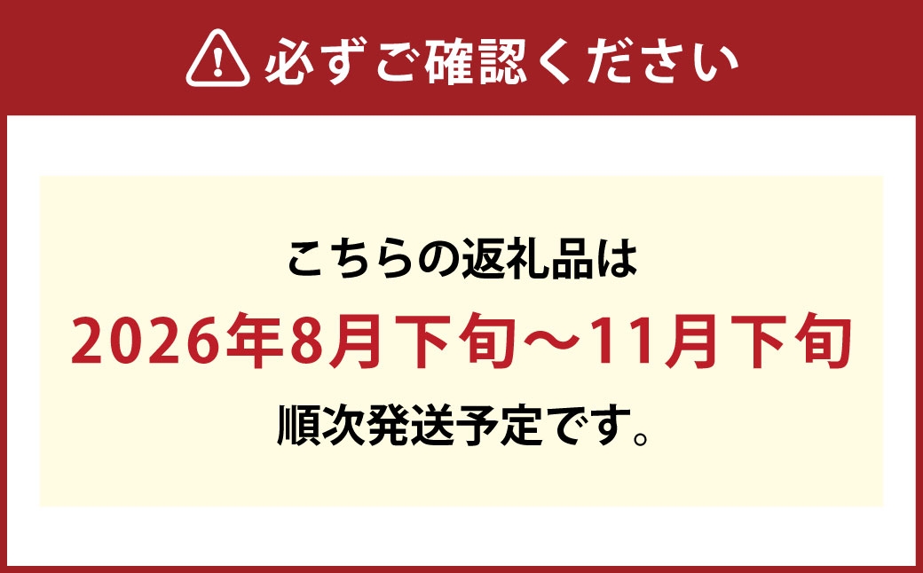 ご家庭用 シャインマスカット 晴王 3～6房 計約2kg