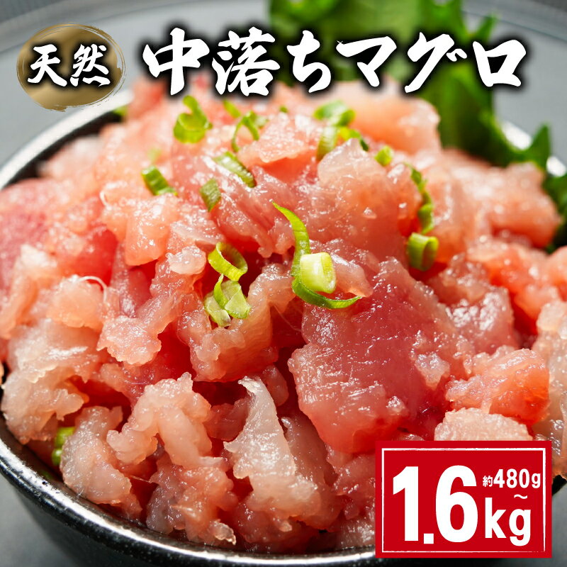 【ふるさと納税】 天然 中落ちマグロ 選べる容量 約480g〜1.6kg ビンチョウマグロ メバチマグロ キハダマグロ まぐろ 鮪 刺身 赤身 肉 鉢マグロ ビンチョウ キハダ 中落ち 希少 ネギトロ マグロ漬け 海鮮丼 寿司 魚 海鮮 魚介 国産 千葉県 銚子市 和田水産