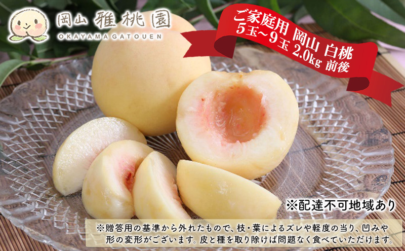 桃 2025年 先行予約 ご家庭用 岡山 白桃 5玉～9玉 2.0kg 前後 もも 岡山県産 国産 フルーツ 果物 雅桃園