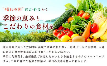 野菜 サラ商品とふるさとフレッシュ便 旬野菜セット