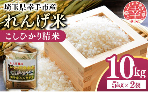 レンゲ米　こしひかり 精米 5㎏×2袋 - コシヒカリ 白米 10kg 5kgずつ 2袋 レンゲ農法 れんげ農法 栽培 埼玉県 幸手市 幸手市産