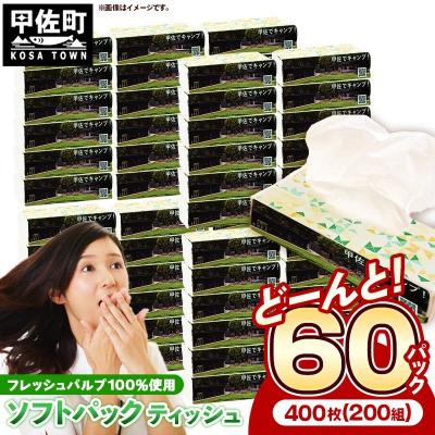 ふるさと納税 甲佐町 ティッシュペーパーソフトパック　400枚(200組)60パック