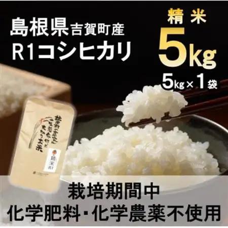 【栽培期間中化学肥料・化学農薬不使用】令和7年産R1米コシヒカリ5kg(精米)【1448692】