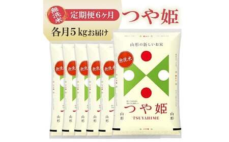 1385T04　【定期便】無洗米つや姫 5kg×6ヶ月連続 (4月～9月)
