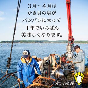【能登半島地震復興支援】【発送時期が選べる】水上水産の能登のかき 半缶ガンガン焼き（約35～40個・ナイフ付） ※離島への配送不可 石川県 七尾市 能登 ※2026年1月上旬～4月下旬頃に順次発送予定