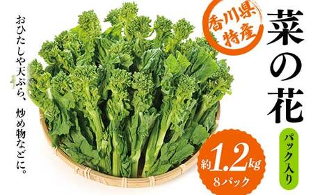 菜の花 パック入り 約1.2kg (8パック) なの花 菜の花 おひたし 天ぷら 炒め物 春 野菜 食品 名産 四国 F5J-373