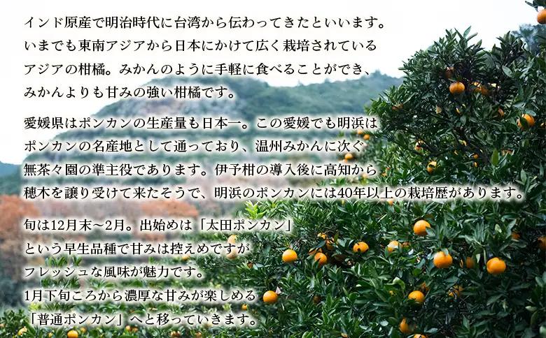 【先行予約】＜無茶々園のポンカン 約5kg＞ 果物 くだもの フルーツ ぽんかん みかん 蜜柑 柑橘類 かんきつ 旬 甘い 濃厚 新鮮 期間限定 季節限定 産地直送 特産品 愛媛県 西予市 【常温】『