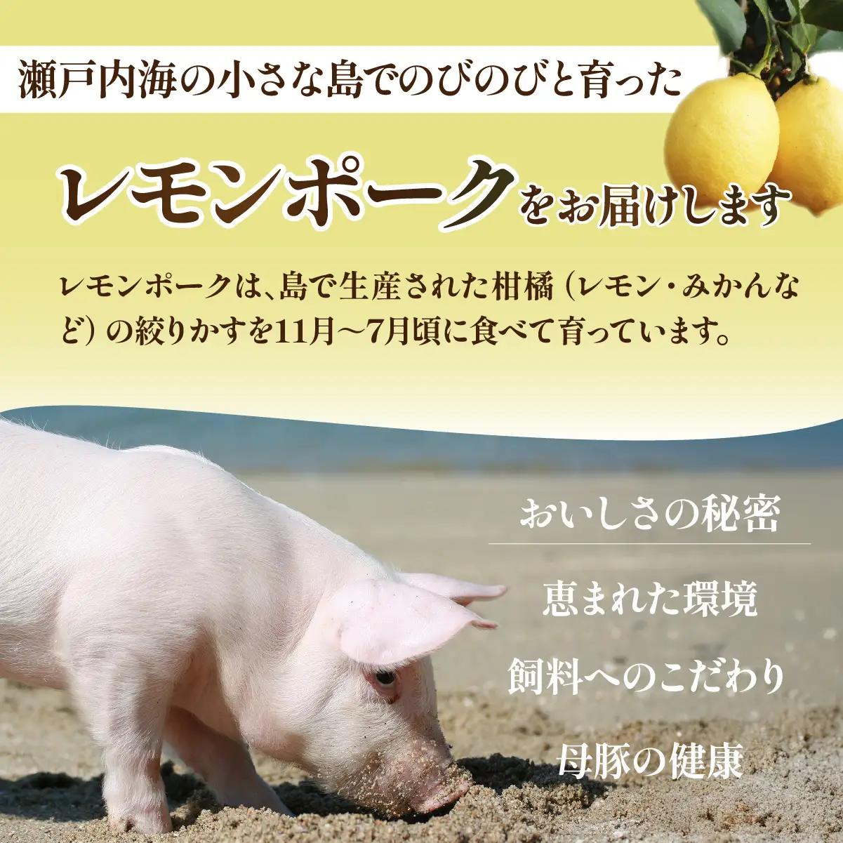 レモンポーク ソーセージ ハンバーグ セット 各3食 合計1.1kg