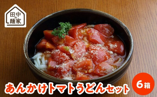 田中の麺家あんかけトマトうどんセット6箱_田中の麺家 あんかけ トマト うどん セット 6箱 常温 半生タイプ 2人前 フレッシュトマト 和風 イタリアン 特製 スープ トマト ペースト スープ付き 人気 メニュー 手軽 おいしい お取り寄せ お取り寄せグルメ 福岡県 久留米市 送料無料_Bu003