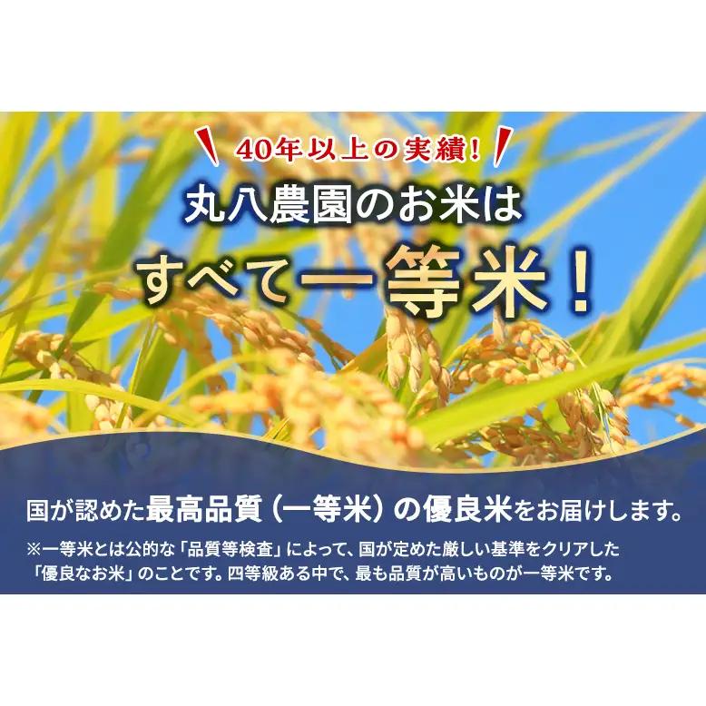 【予約】令和8年度産 静岡産 コシヒカリ 玄米 定期便 10kg×6カ月 米 コメ こしひかり コシヒカリ 袋井市 静岡県