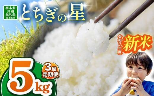 【栃木県共通返礼品】【令和7年度新米先行予約】栃木県産とちぎの星 15kg |定期便 選べる 10月発送 11月発送 12月発送 ふるさと 納税 とちぎの星 お米 精米 白米 玄米 大粒 共通返礼品 送料無料 那珂川町 栃木県