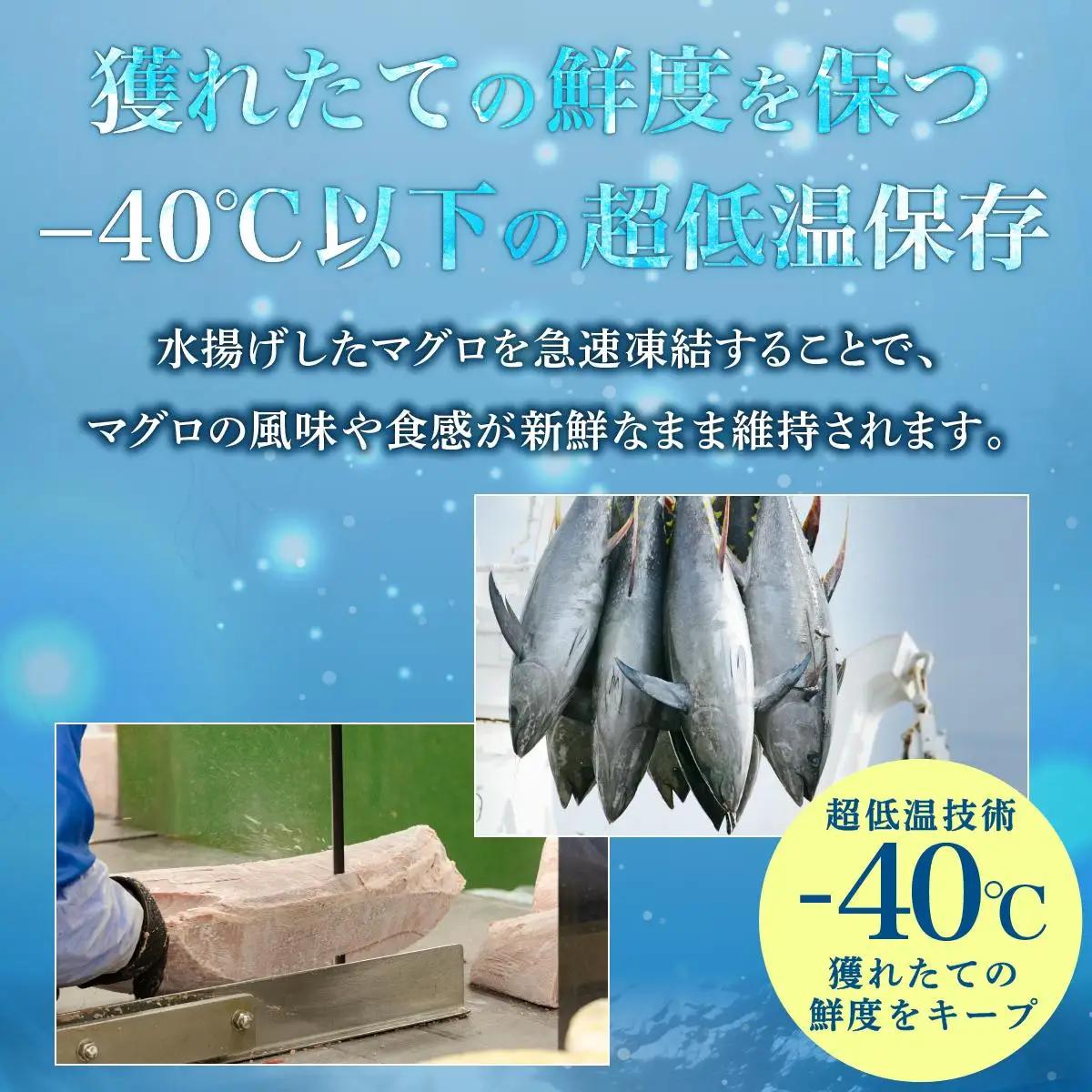 とろけるネギトロ (まぐろたたき)100 g×12P