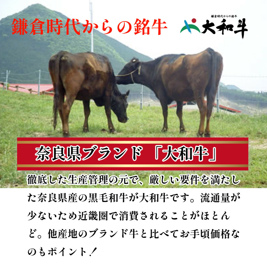 (冷凍) 大和牛 ステーキ サーロイン (200g×2枚) ／ 金井畜産 国産 ふるさと納税 肉 生産農家 産地直送 奈良県 宇陀市 ブランド牛_イメージ4