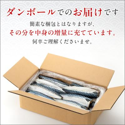ふるさと納税 銚子市 【訳あり】トロ塩さば　3kg　18枚以上 |  | 02